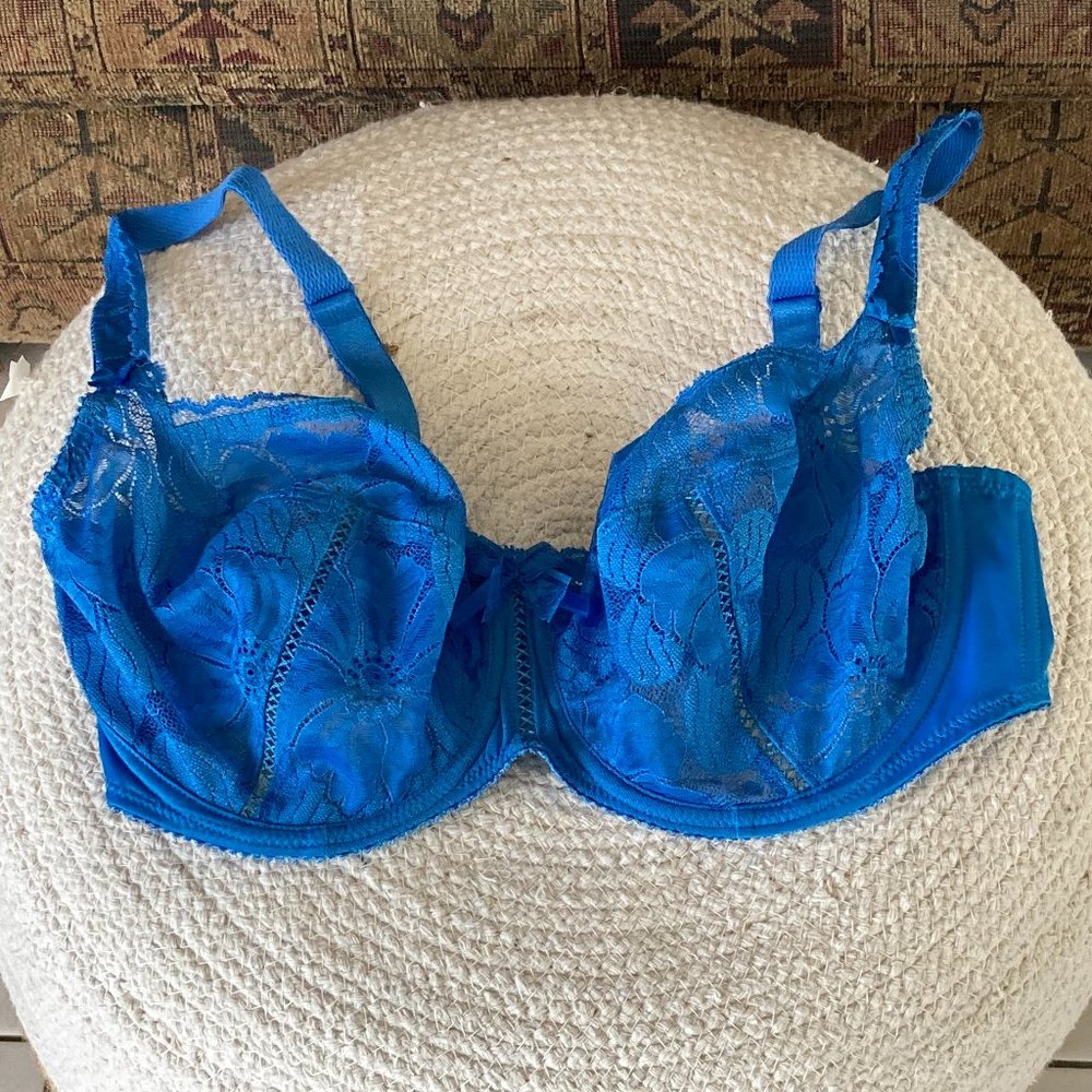 Empreinte blue bra size 34E